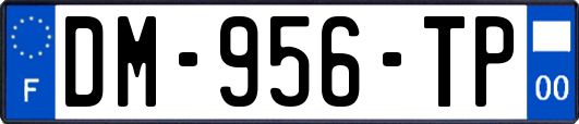DM-956-TP