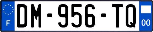 DM-956-TQ