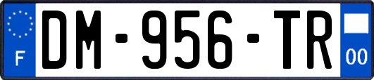DM-956-TR