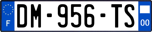DM-956-TS