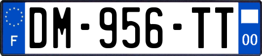 DM-956-TT