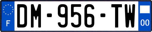 DM-956-TW
