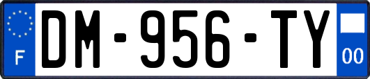 DM-956-TY