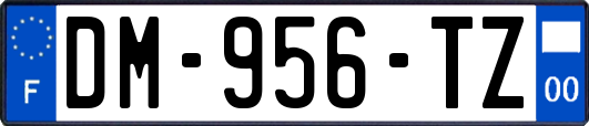 DM-956-TZ