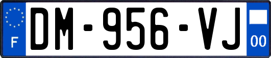 DM-956-VJ