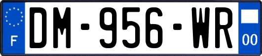 DM-956-WR