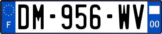 DM-956-WV