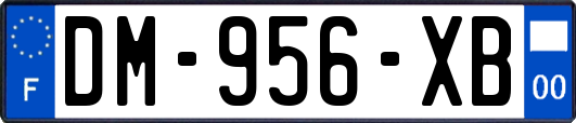 DM-956-XB