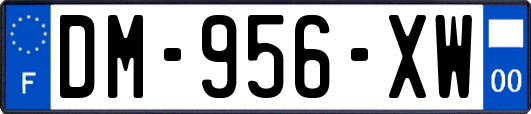 DM-956-XW