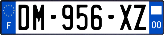 DM-956-XZ