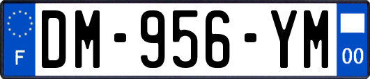 DM-956-YM