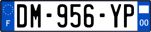 DM-956-YP