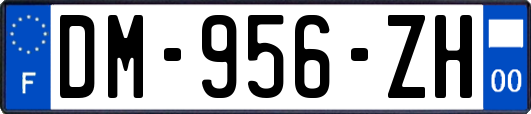 DM-956-ZH