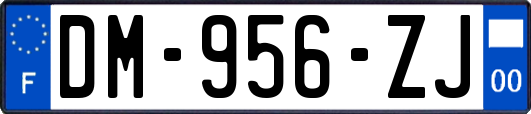 DM-956-ZJ