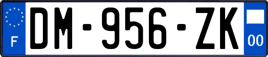 DM-956-ZK