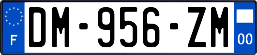 DM-956-ZM