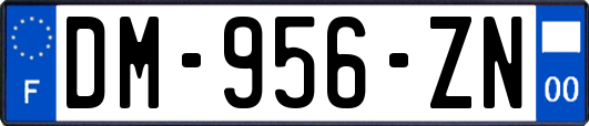 DM-956-ZN