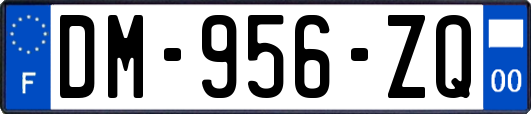 DM-956-ZQ