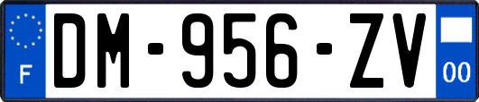 DM-956-ZV