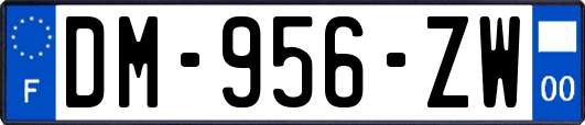 DM-956-ZW