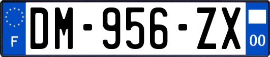 DM-956-ZX