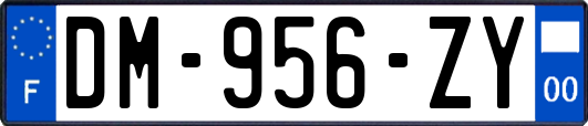 DM-956-ZY