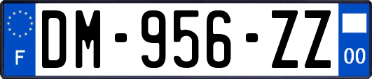 DM-956-ZZ