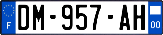 DM-957-AH