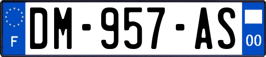 DM-957-AS