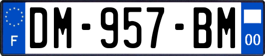 DM-957-BM