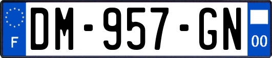 DM-957-GN