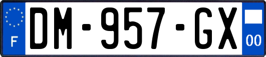 DM-957-GX