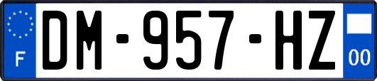 DM-957-HZ