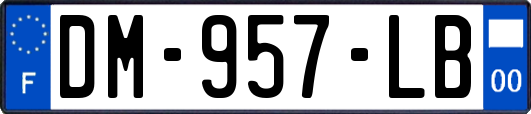 DM-957-LB