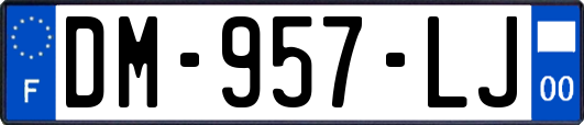 DM-957-LJ