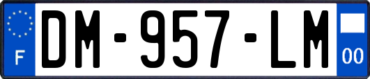 DM-957-LM