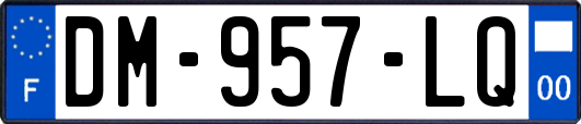 DM-957-LQ