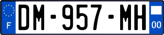 DM-957-MH