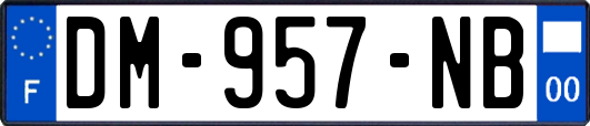 DM-957-NB
