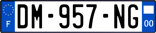 DM-957-NG
