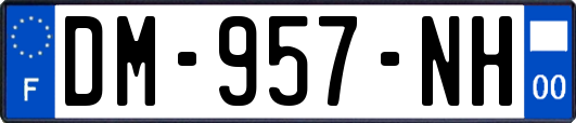 DM-957-NH