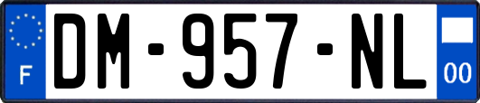 DM-957-NL