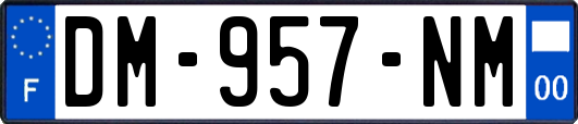 DM-957-NM
