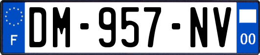 DM-957-NV