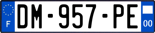 DM-957-PE