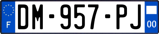 DM-957-PJ