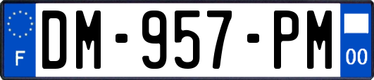 DM-957-PM