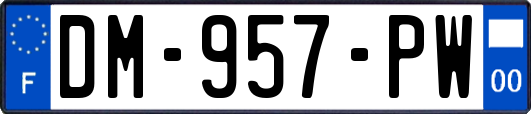 DM-957-PW
