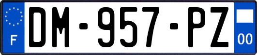 DM-957-PZ