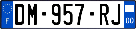 DM-957-RJ